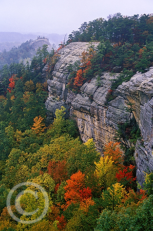 Autumn Colors image