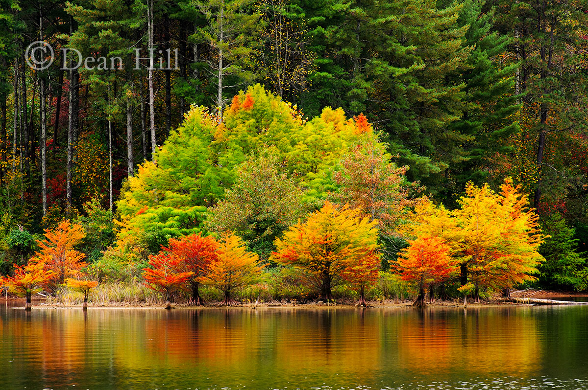 Autumn Reflection on Paintsville Lake image