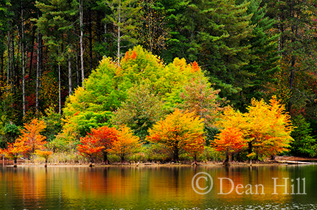 Autumn Reflection on Paintsville Lake image