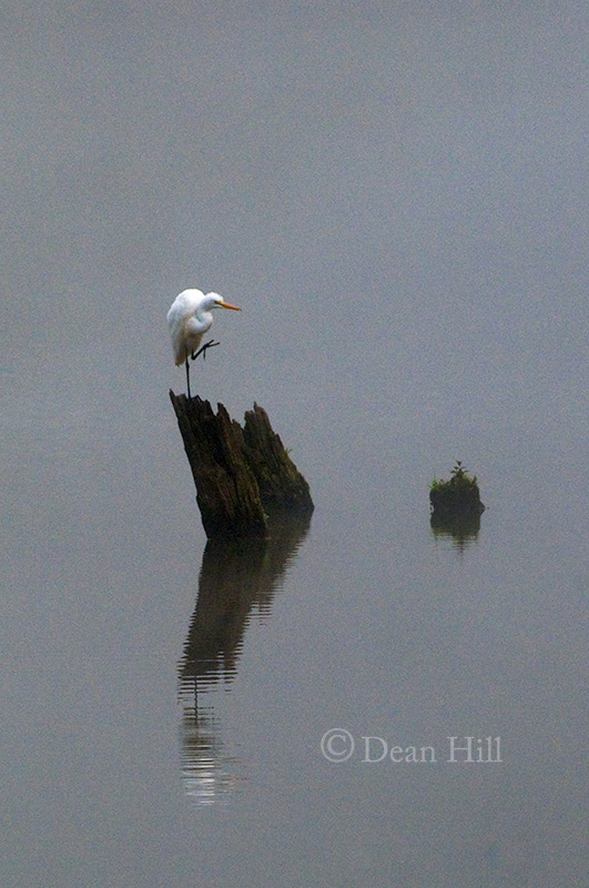 Balance image
