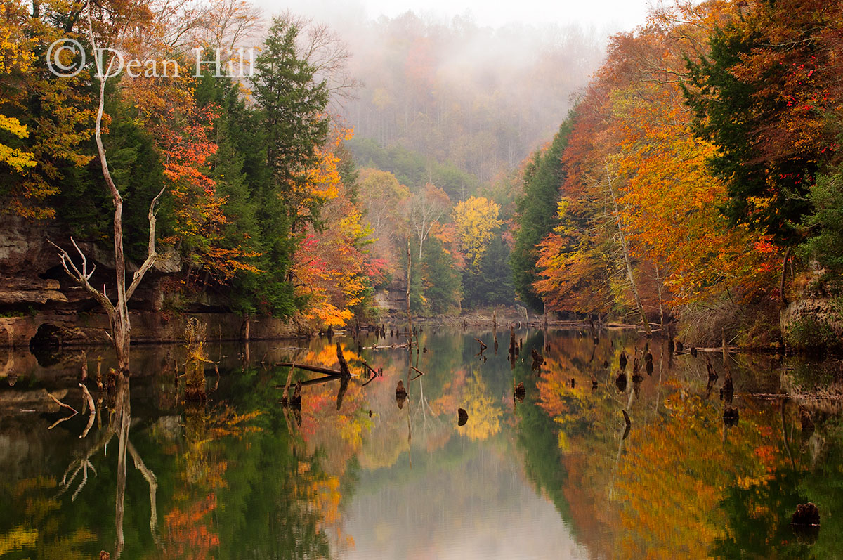 Brilliance of an Autumn Morning image