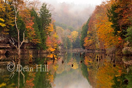 Brilliance of an Autumn Morning image