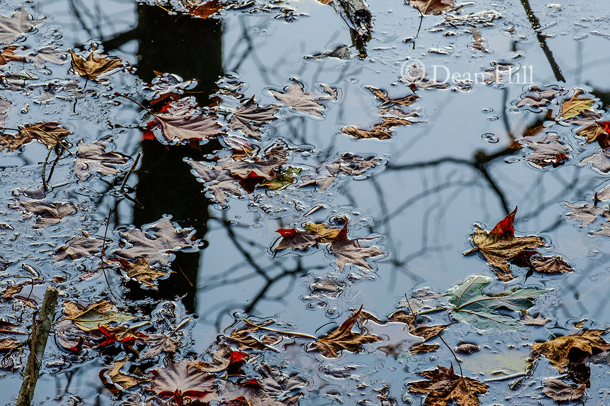 Edges image