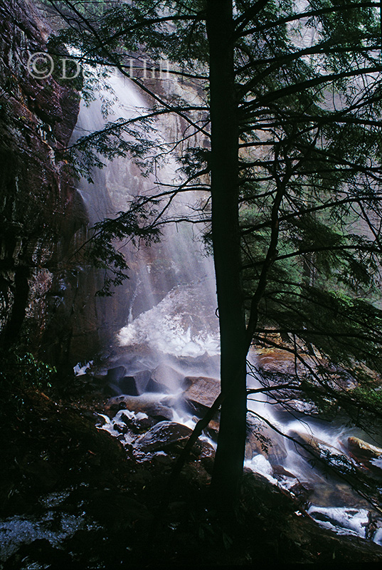 Elusive Bad Branch Falls image
