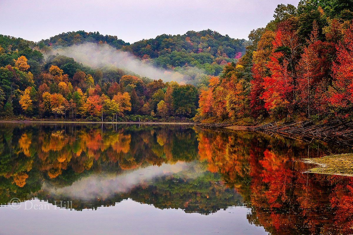 The Flow of Mist image