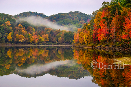 The Flow of Mist image