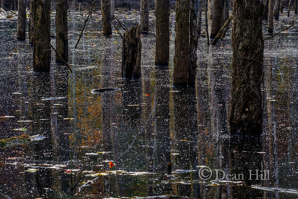Illusion of a Frozen Lake image