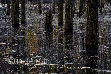 Illusion of a Frozen Lake image