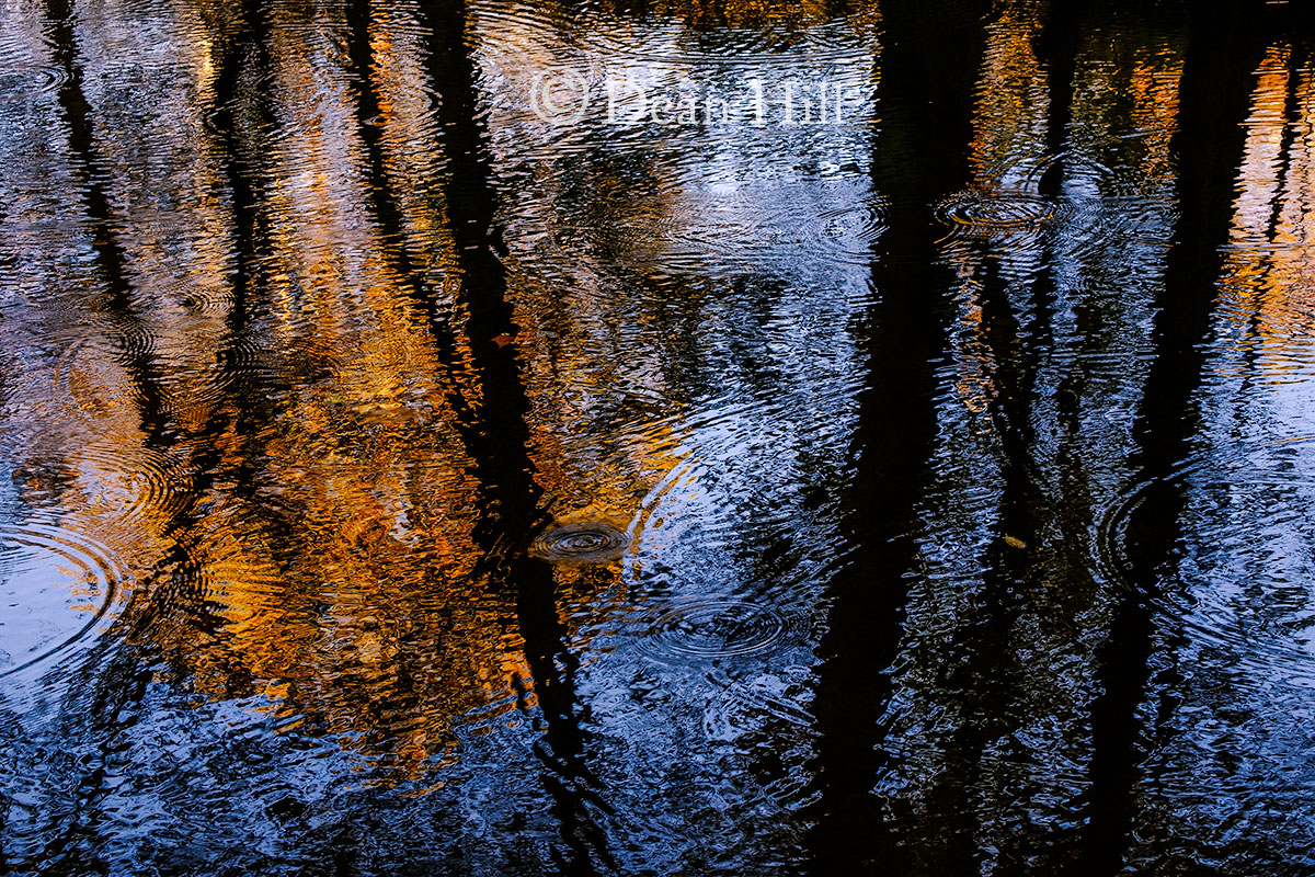 Illusion of Rain image
