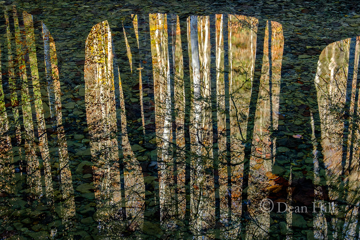 Looking Through the Reflection image