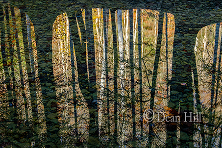 Looking Through the Reflection image