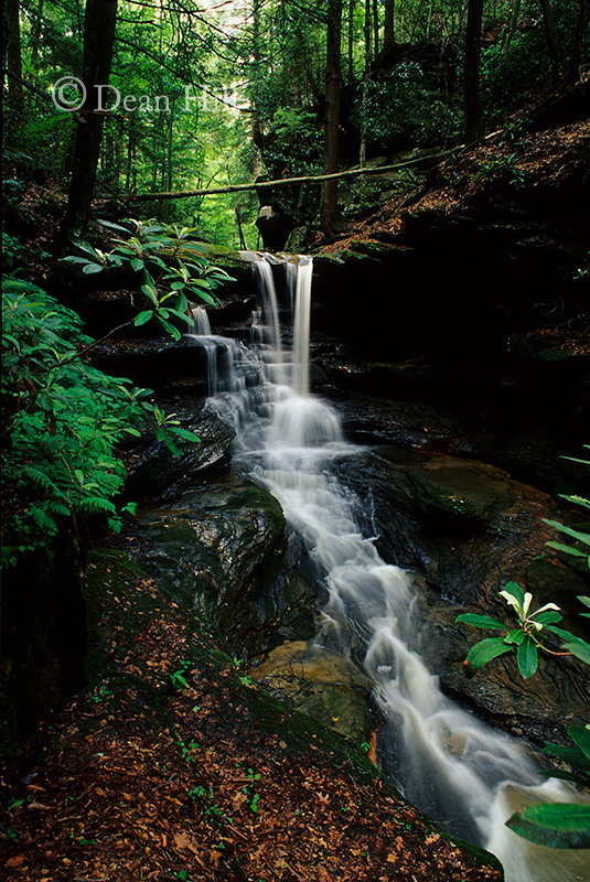 Lower Falls in Summer image