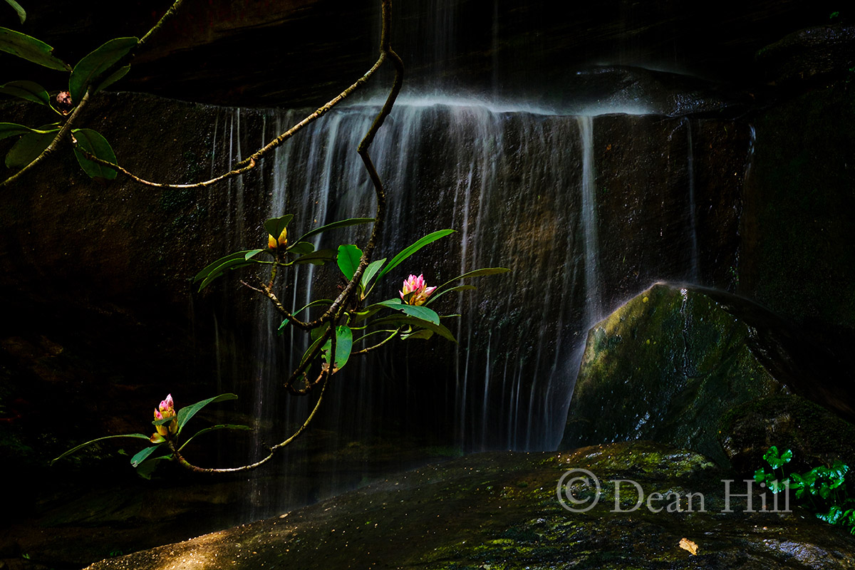Magic of Light image