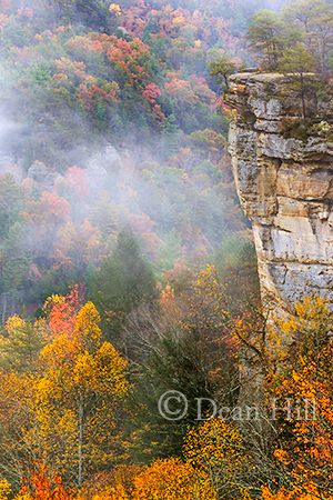 Majestic Beauty of an Autumn Morning image