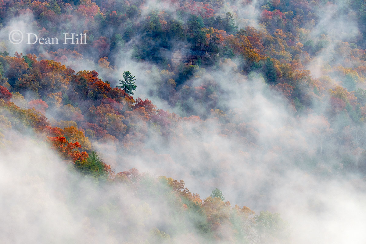 Misty Mountain image
