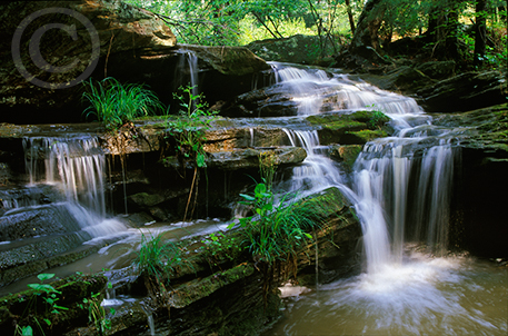 Morning Light on Broke Leg Falls image