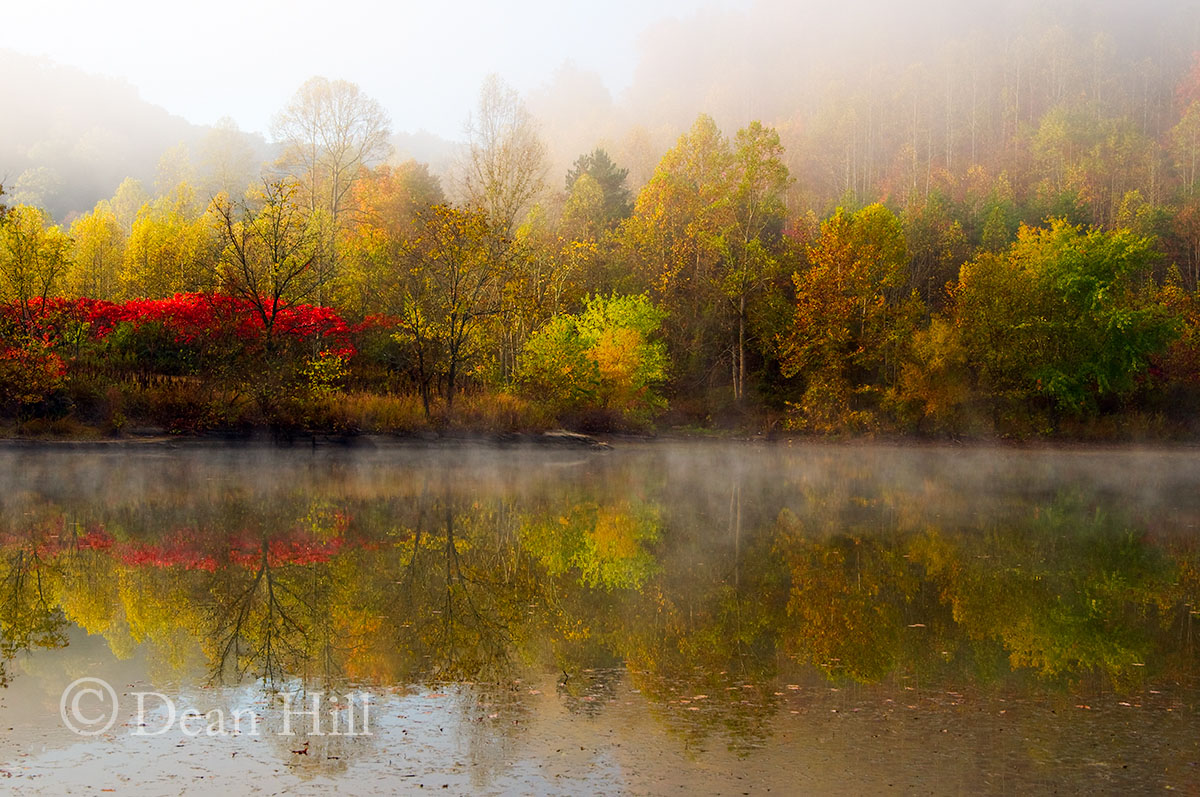 Morning Reflection image