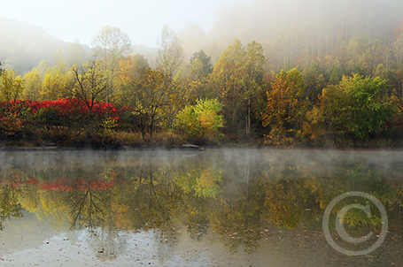 Morning Reflection image