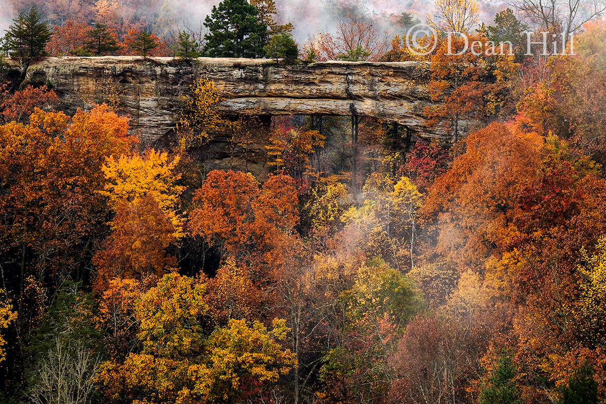 Natural Bridge - Beyond Beauty image