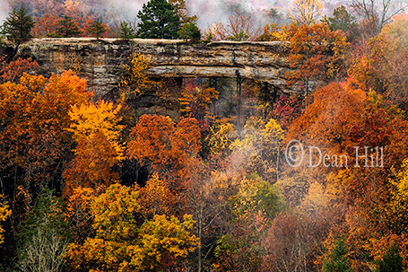 Natural Bridge - Beyond Beauty image