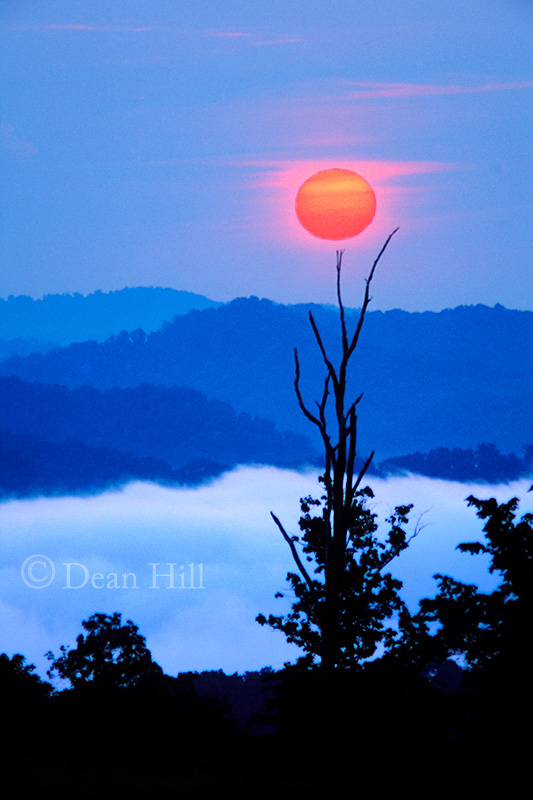 Red Sun image