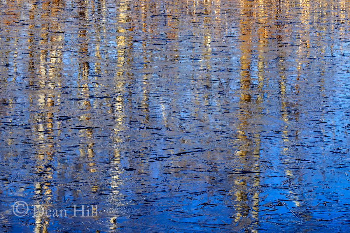 Reflection on Ice image