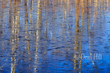 Reflection on Ice image