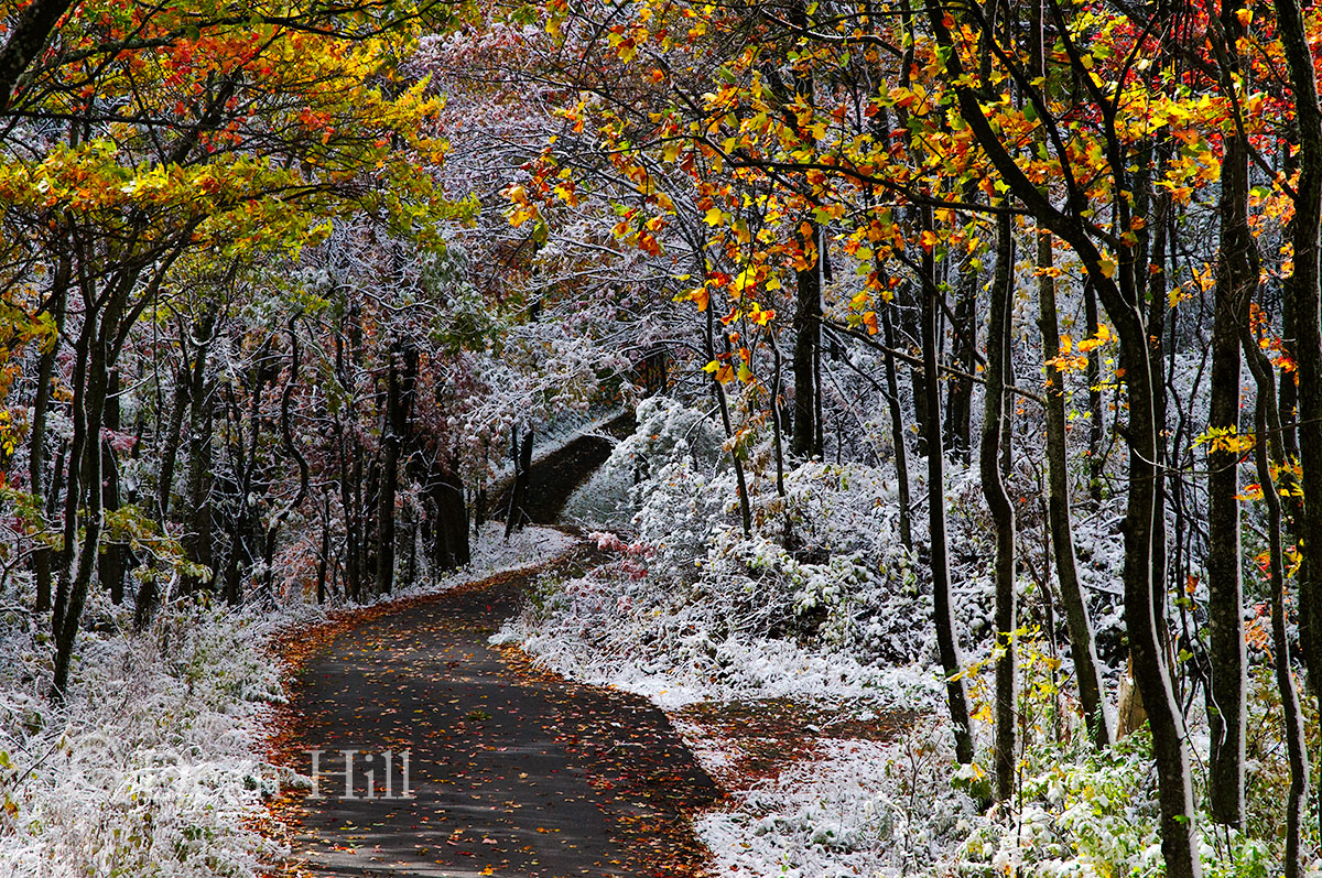 Road Less Traveled image