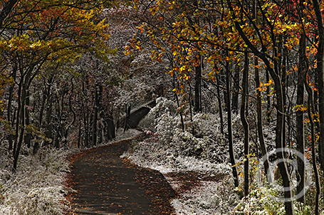 Road Less Traveled image