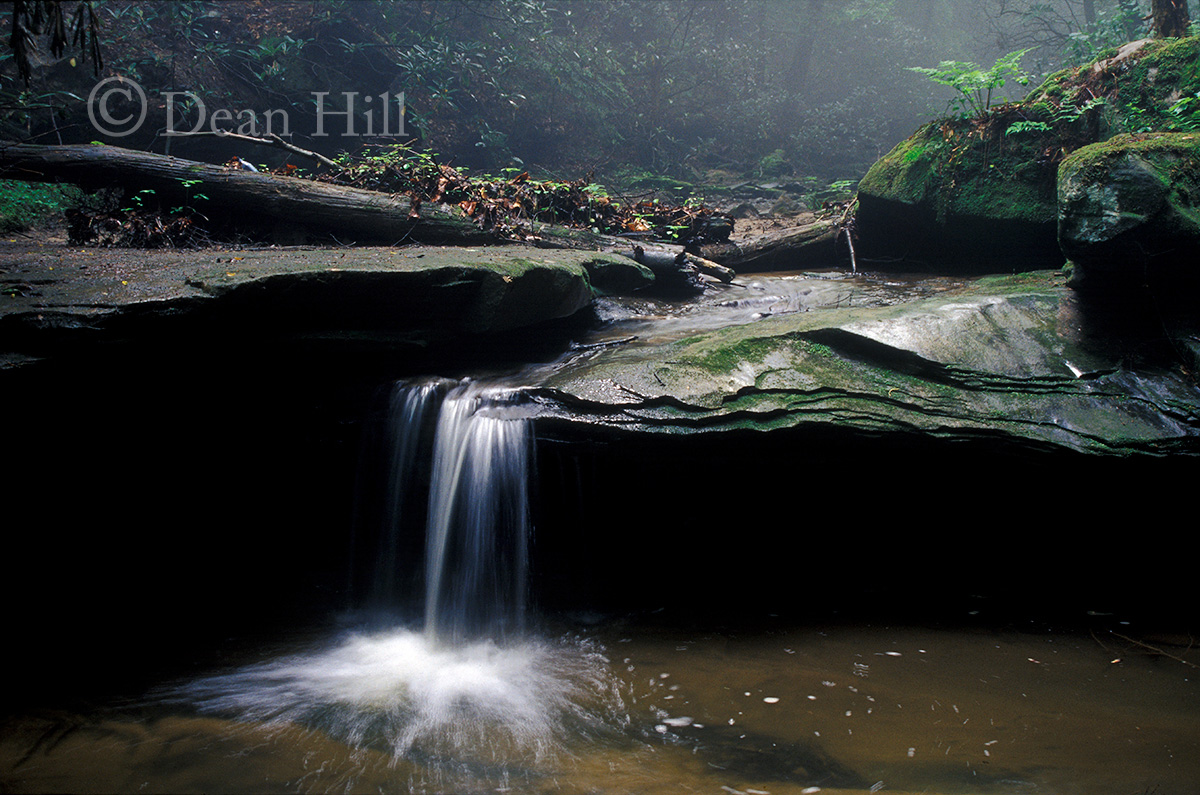 Serene image