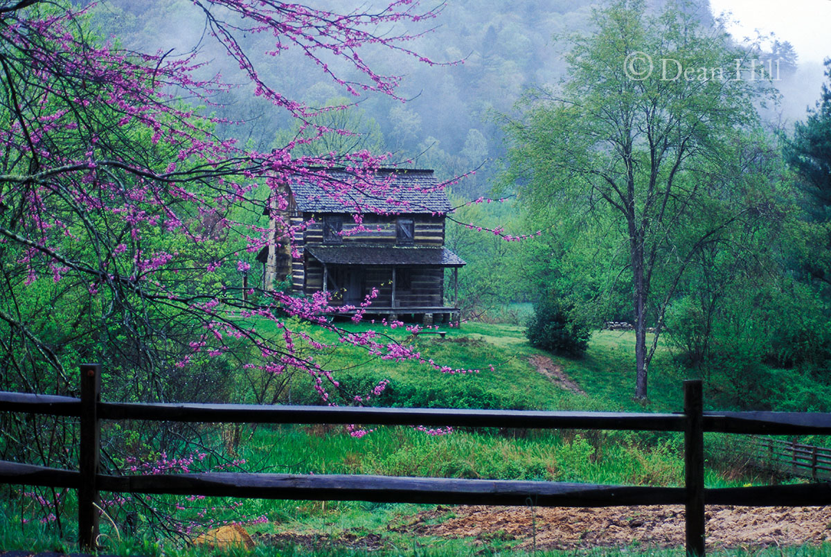 Spring at Gladie Creek image