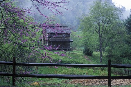 Spring at Gladie Creek image