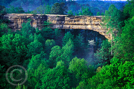 Spring at Natural Bridge image