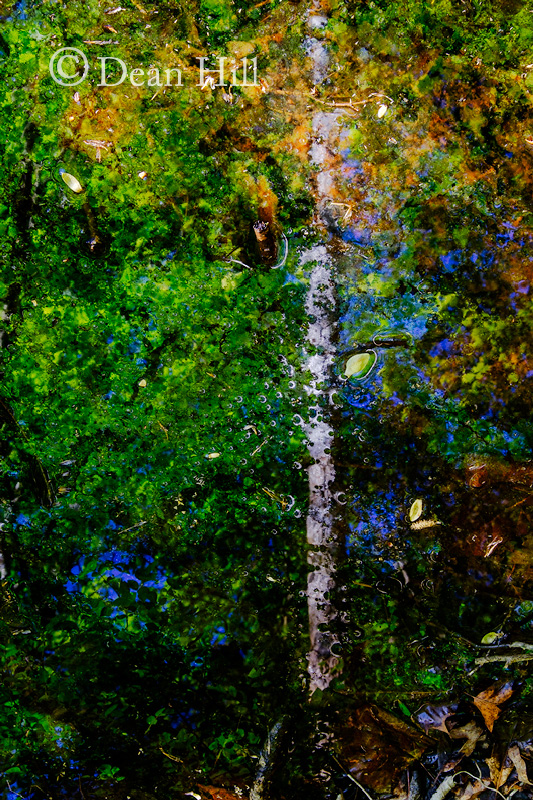 Summer Pool image