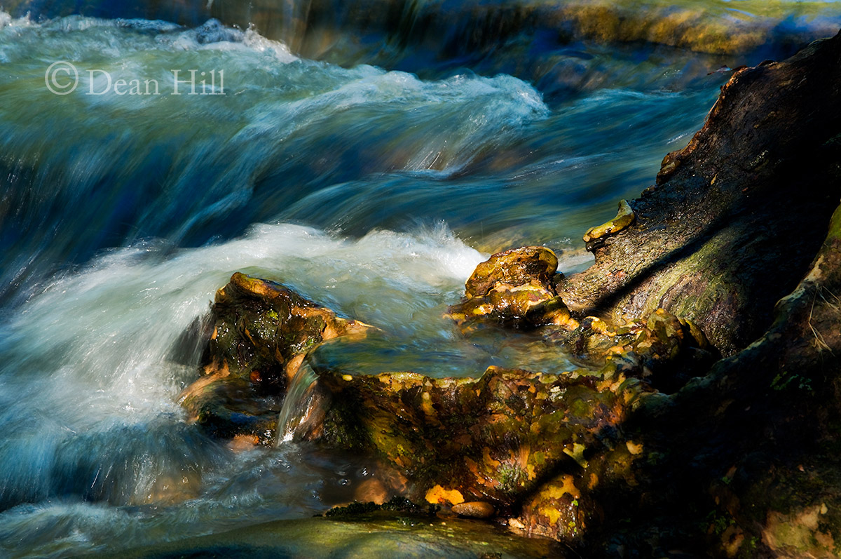 Sycamore Coast image