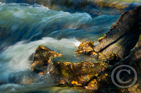 Sycamore Coast image