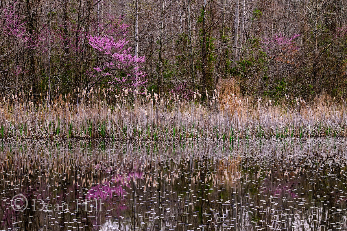 Textures of Reflections image