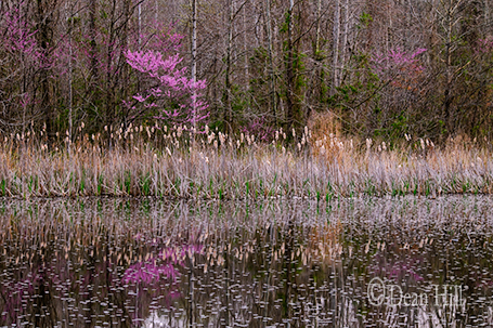 Textures of Reflections image