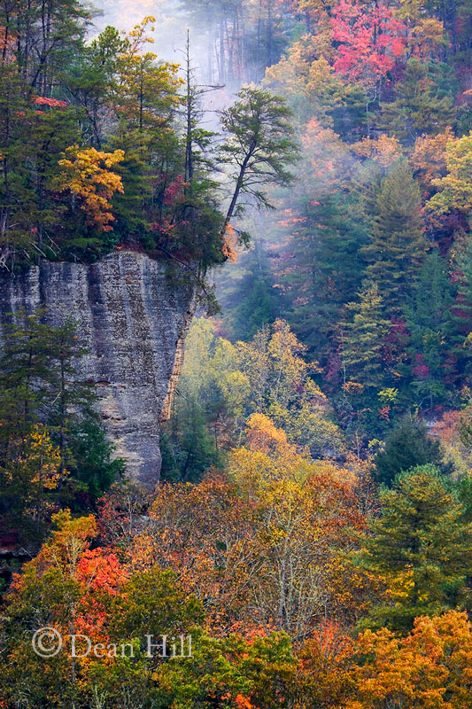 Touch of Mist image
