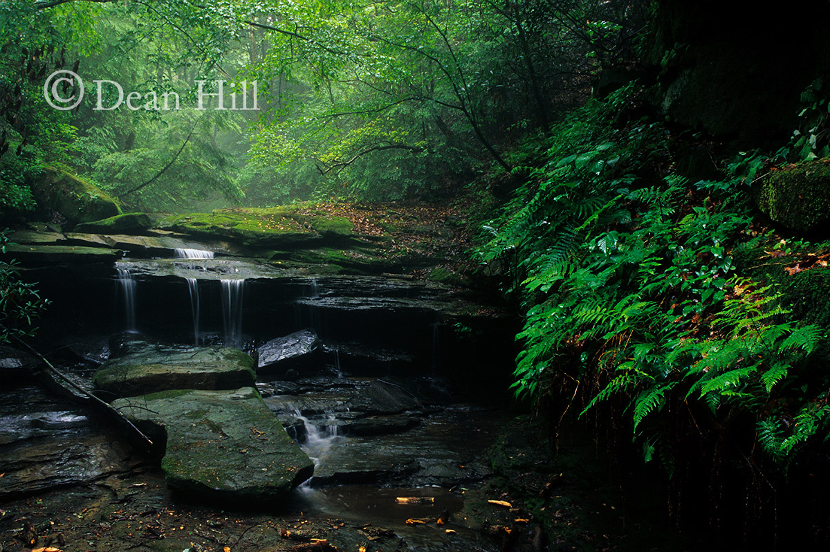 Tranquility image
